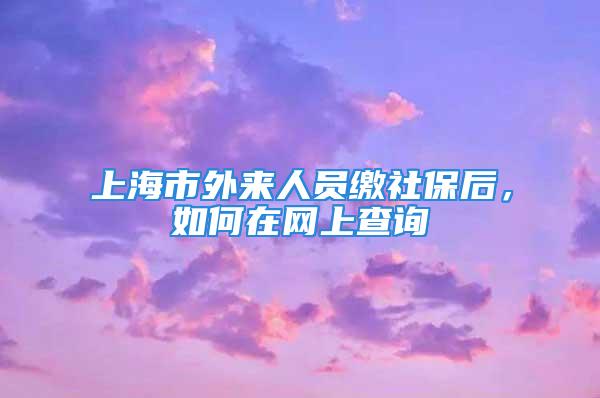 上海市外來人員繳社保后，如何在網(wǎng)上查詢