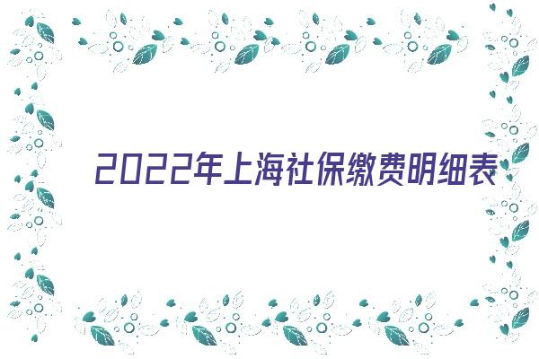 2022年上海社保繳費明細表