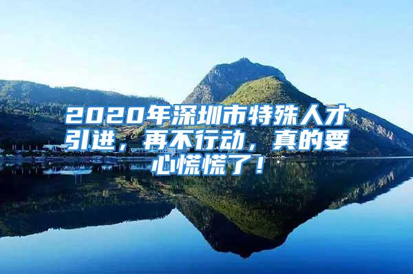 2020年深圳市特殊人才引進(jìn)，再不行動(dòng)，真的要心慌慌了！