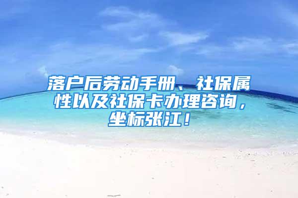 落戶后勞動手冊、社保屬性以及社?？ㄞk理咨詢，坐標張江！