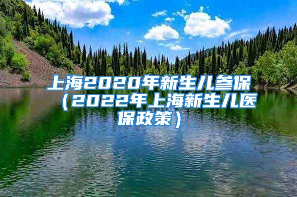 上海2020年新生兒參保（2022年上海新生兒醫(yī)保政策）