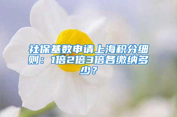 社?；鶖?shù)申請上海積分細則：1倍2倍3倍各繳納多少？