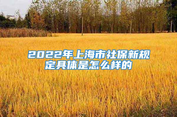 2022年上海市社保新規(guī)定具體是怎么樣的