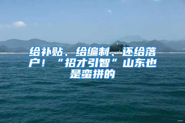 給補貼、給編制、還給落戶！“招才引智”山東也是蠻拼的