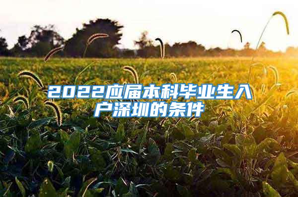 2022應(yīng)屆本科畢業(yè)生入戶深圳的條件