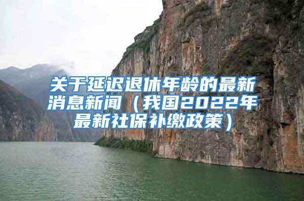 關(guān)于延遲退休年齡的最新消息新聞（我國(guó)2022年最新社保補(bǔ)繳政策）