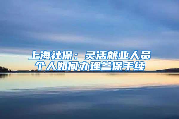 上海社保：靈活就業(yè)人員個人如何辦理參保手續(xù)