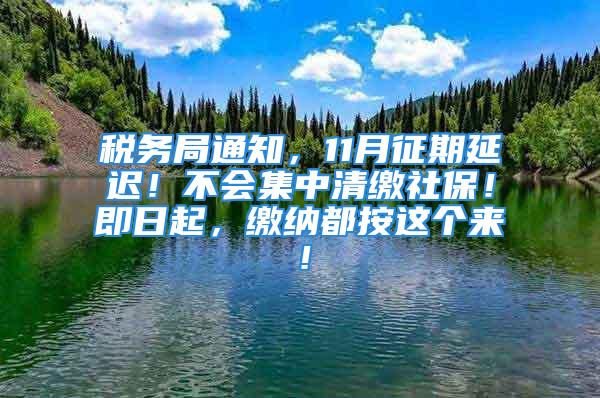 稅務局通知，11月征期延遲！不會集中清繳社保！即日起，繳納都按這個來！