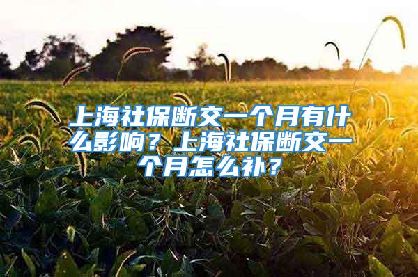 上海社保斷交一個(gè)月有什么影響？上海社保斷交一個(gè)月怎么補(bǔ)？