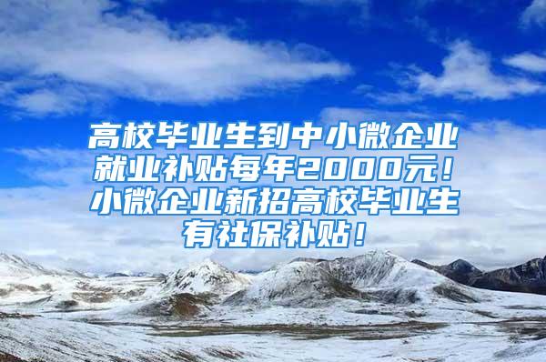 高校畢業(yè)生到中小微企業(yè)就業(yè)補貼每年2000元！小微企業(yè)新招高校畢業(yè)生有社保補貼！