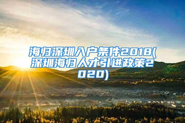 海歸深圳入戶條件2018(深圳海歸人才引進(jìn)政策2020)