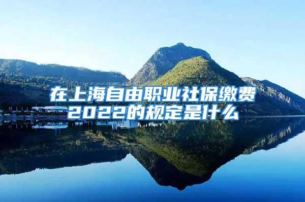 在上海自由職業(yè)社保繳費2022的規(guī)定是什么