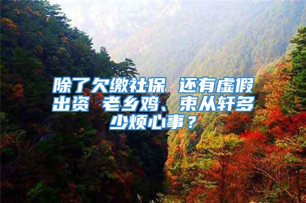 除了欠繳社保 還有虛假出資 老鄉(xiāng)雞、束從軒多少煩心事？