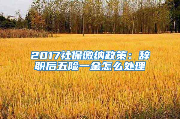 2017社保繳納政策：辭職后五險一金怎么處理