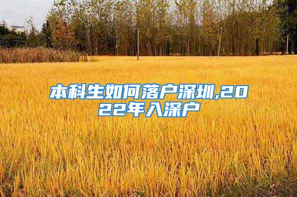 本科生如何落戶(hù)深圳,2022年入深戶(hù)