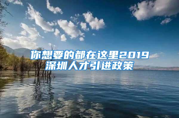 你想要的都在這里2019深圳人才引進政策