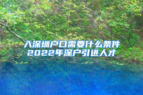 入深圳戶口需要什么條件2022年深戶引進(jìn)人才