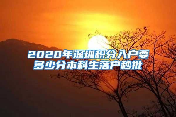 2020年深圳積分入戶要多少分本科生落戶秒批