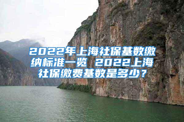 2022年上海社?；鶖?shù)繳納標(biāo)準(zhǔn)一覽 2022上海社保繳費(fèi)基數(shù)是多少？