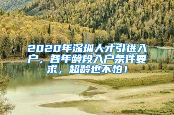 2020年深圳人才引進(jìn)入戶(hù)，各年齡段入戶(hù)條件要求，超齡也不怕！