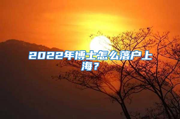 2022年博士怎么落戶上海？