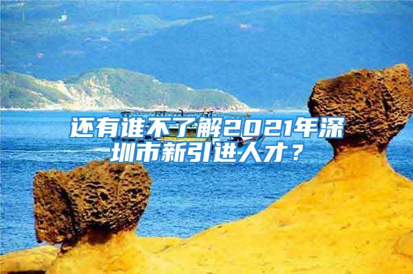 還有誰(shuí)不了解2021年深圳市新引進(jìn)人才？