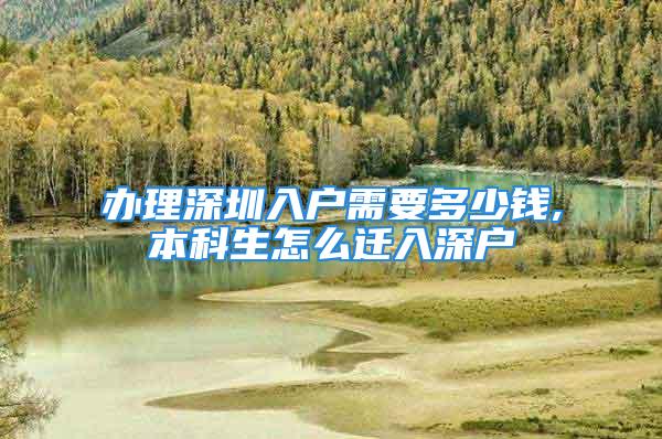 辦理深圳入戶需要多少錢(qián),本科生怎么遷入深戶