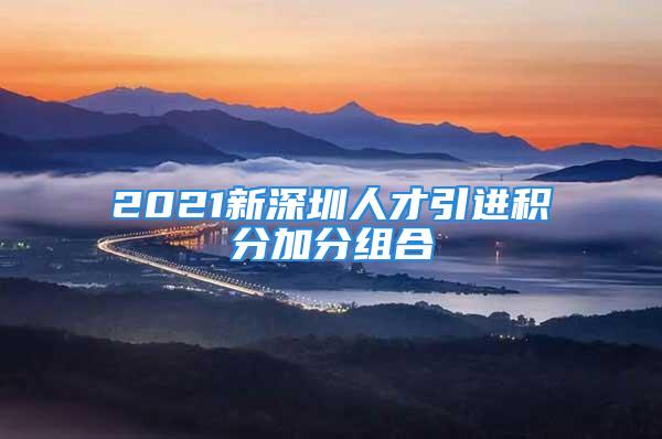 2021新深圳人才引進積分加分組合