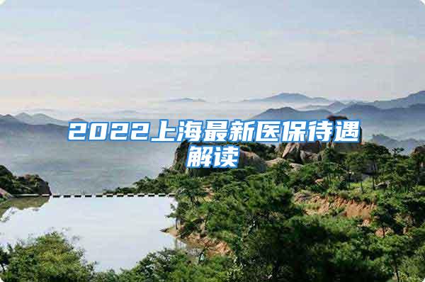 2022上海最新醫(yī)保待遇解讀