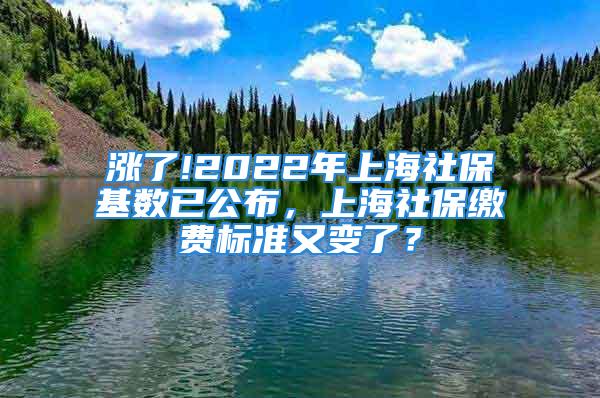 漲了!2022年上海社?；鶖?shù)已公布，上海社保繳費標(biāo)準(zhǔn)又變了？