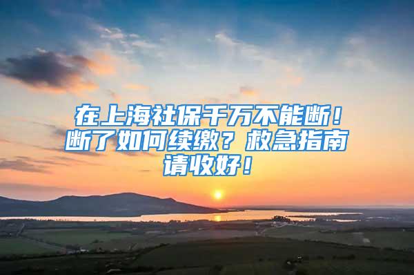 在上海社保千萬不能斷！斷了如何續(xù)繳？救急指南請收好！