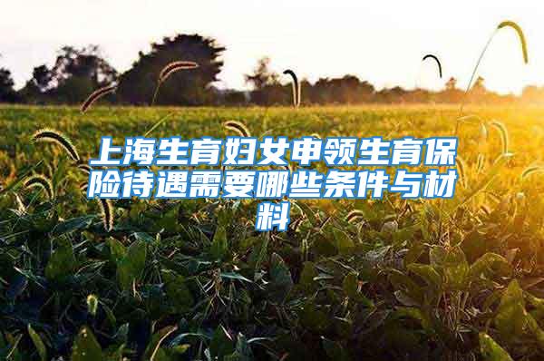 上海生育婦女申領(lǐng)生育保險(xiǎn)待遇需要哪些條件與材料