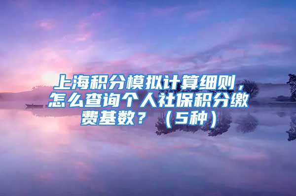 上海積分模擬計算細則，怎么查詢個人社保積分繳費基數(shù)？（5種）