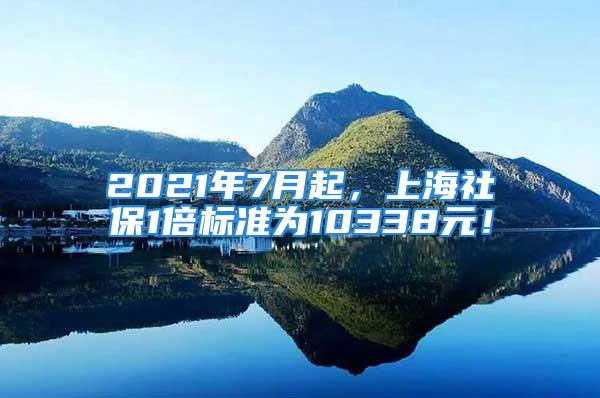 2021年7月起，上海社保1倍標(biāo)準(zhǔn)為10338元！