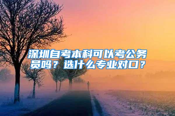 深圳自考本科可以考公務(wù)員嗎？選什么專業(yè)對口？