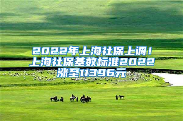 2022年上海社保上調(diào)！上海社保基數(shù)標(biāo)準(zhǔn)2022漲至11396元