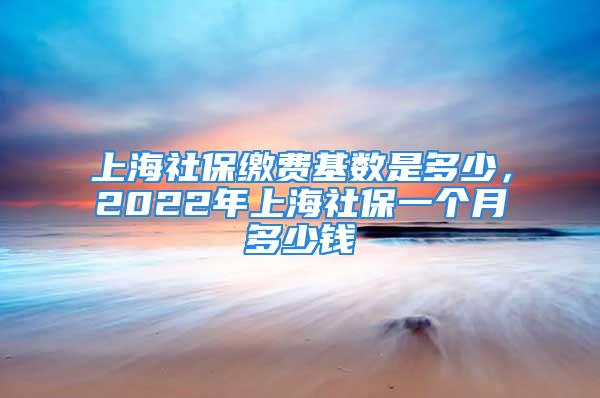 上海社保繳費基數(shù)是多少，2022年上海社保一個月多少錢