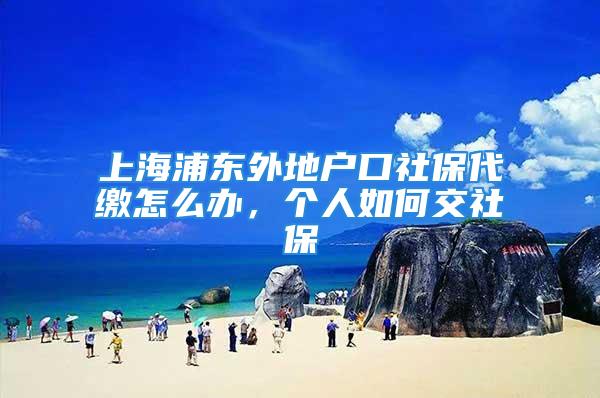 上海浦東外地戶口社保代繳怎么辦，個(gè)人如何交社保