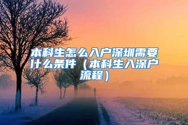 本科生怎么入戶深圳需要什么條件（本科生入深戶流程）