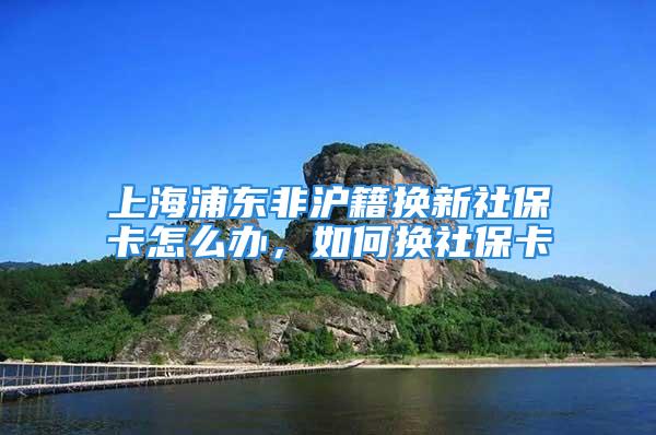 上海浦東非滬籍換新社?？ㄔ趺崔k，如何換社?？?/></p>
									　　<p><strong>上海浦東非滬籍換新社?？?/strong>也是可以的，而且即便沒有工作單位為你辦理新社?？?，自行申請辦理社?？纯?。可以直接到相應(yīng)的網(wǎng)點來申請換卡。如果社保卡出現(xiàn)了丟失或者損壞，或者是需要更換新的金融社?？?，都可以自行辦理社保卡更換。那么具體要如何更換新社?？?？</p>
　　<p style=