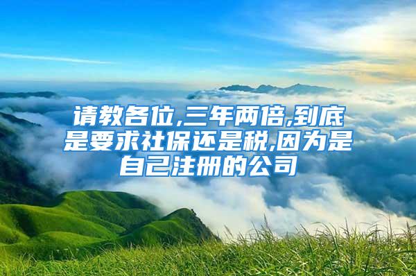 請教各位,三年兩倍,到底是要求社保還是稅,因為是自己注冊的公司