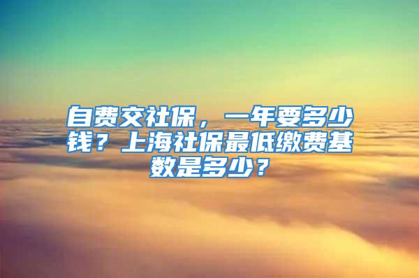 自費(fèi)交社保，一年要多少錢？上海社保最低繳費(fèi)基數(shù)是多少？