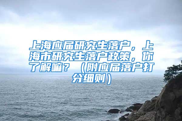 上海應(yīng)屆研究生落戶，上海市研究生落戶政策，你了解嘛？（附應(yīng)屆落戶打分細(xì)則）