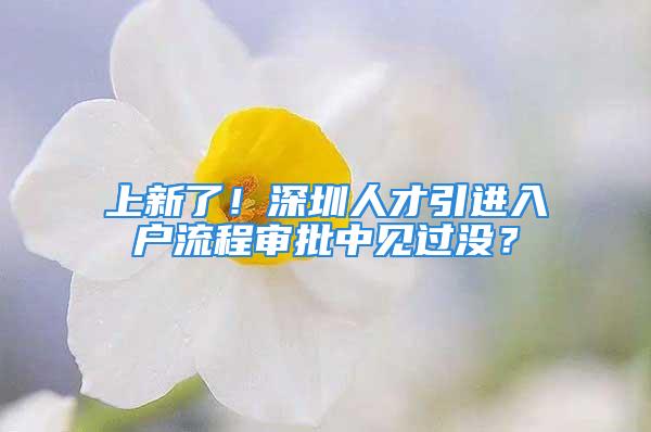 上新了！深圳人才引進入戶流程審批中見過沒？