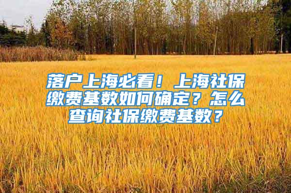 落戶上海必看！上海社保繳費(fèi)基數(shù)如何確定？怎么查詢社保繳費(fèi)基數(shù)？