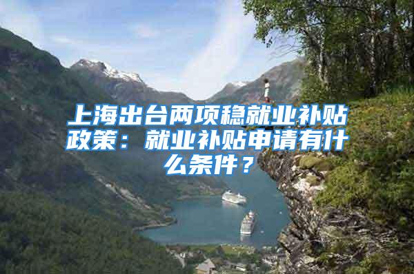 上海出臺兩項穩(wěn)就業(yè)補貼政策：就業(yè)補貼申請有什么條件？