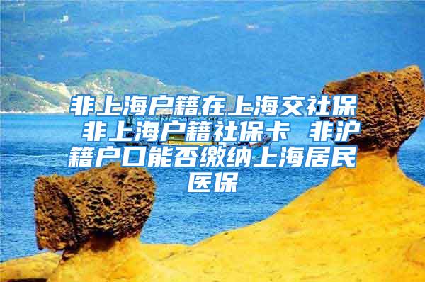 非上海戶籍在上海交社保 非上海戶籍社?？?非滬籍戶口能否繳納上海居民醫(yī)保