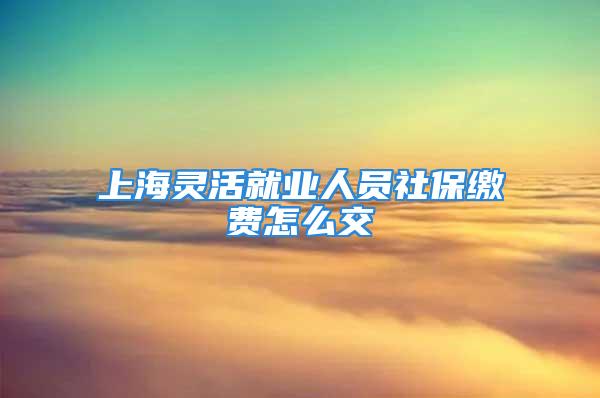 上海靈活就業(yè)人員社保繳費(fèi)怎么交