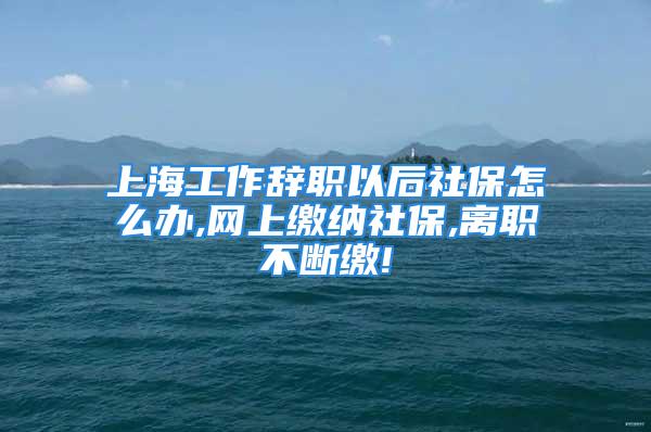 上海工作辭職以后社保怎么辦,網(wǎng)上繳納社保,離職不斷繳!