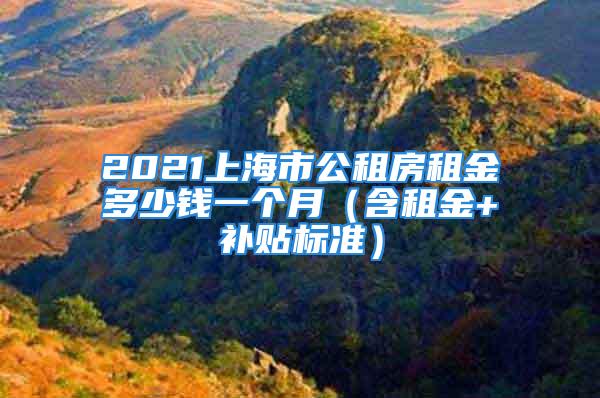 2021上海市公租房租金多少錢(qián)一個(gè)月（含租金+補(bǔ)貼標(biāo)準(zhǔn)）